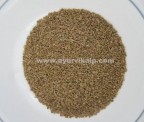 Ajwain Seeds Trachyspermum Ammi Indian Raw Herbs Loose by Weight