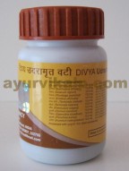 Divya Udramrit Vati | Abdominal Pain Treatment | Digestive Wellness