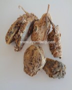 AMBE HALDI Raw Herbs | Herbs for arthritis