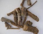 Anantmool roots | herbs for digestion | indigestion remedies