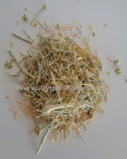 DAHAMASA, Fagonia Arabica, Raw Whole Herbs of India
