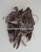 jatamansi herb | spikenard herb | herbs for memory