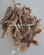 punarnava herb | punarnava ayurveda herb | boerhavia diffusa herb