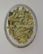 sonamukhi herb | senna herb | herbs for indigestion