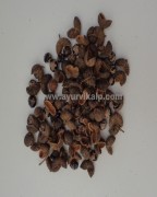 Tomar Seeds | herbs for diarrhea | stomach gas relief