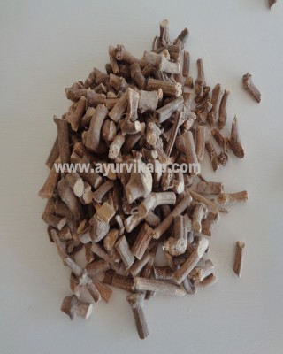 PIPALI ROOT, Piper Longum, Long Pepper, Raw Whole Herbs of India