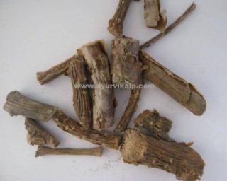 ANANTMOOL ROOTS, Hemidesmus Indicus, Raw Whole Herbs of India