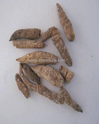 ATIVISH ROOT, ATIVISHA, Indian Atees, Aconitum Heterophyllum, Raw Whole Herbs of India