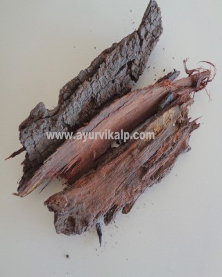 BABOOL Bark, Acacia Arabica, Raw Whole Herbs of India