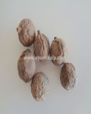 BEHADA FRUIT DRIED, Baheda, Terminalia Bellericais, Raw Whole Herbs of India