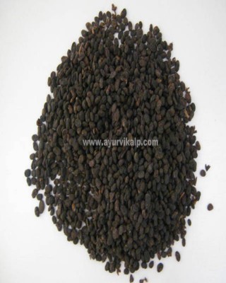 BAKUCHI SEED, Purple Fleabane, Raw Whole Herbs of India