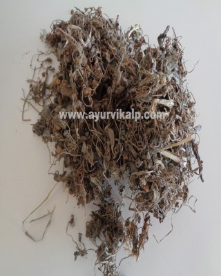 BRAHMI, Bacopa Monnieri, Thyme Leaved Gratiola, Raw Whole Herbs of India