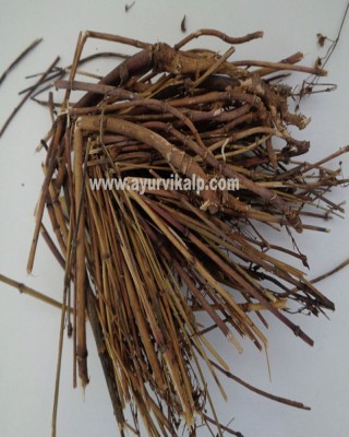 CHIRAYATA MOOL, Chiretta, Swertia Chirata, Raw Whole Herbs of India