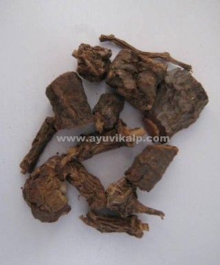 GILOY ROOTS, Guduchi, Tinospora Cordifolia, Raw Whole Herbs of India