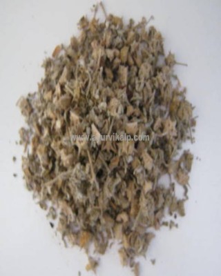 GOKHARU SEED, Tribulus Terrestris, Raw Whole Herbs of India