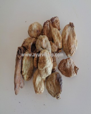 KAKRASINGI, Pistacia Integerrima, Raw Whole Herbs of India