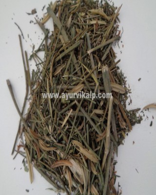 KALMEGHA, Androgaphis Paniculata, Raw Whole Herbs of India
