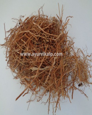 KHUS ROOT, Vetiveria zizanioides Nash, Cuscus Grass, Raw Whole Herbs of India