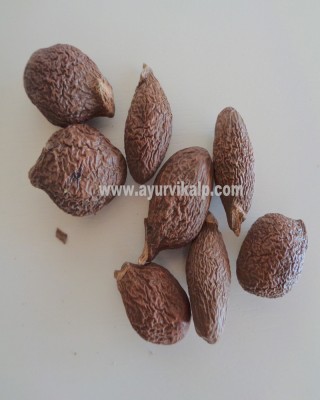 NIRANJAN FRUIT, PHAL, MALVA NUTS, China Fruit, Raw Whole Herbs of India