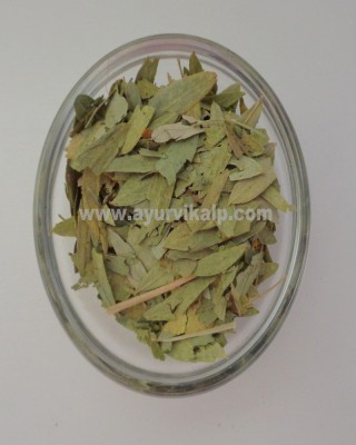 SONAMUKHI, Senna-Cassia Dried Leaves, Indian Senna, Raw Whole Herbs of India