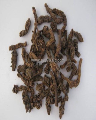 TAGAR ROOTS, Sugandhabala Root, Valeriana Wallichii, Raw Whole Herbs of India