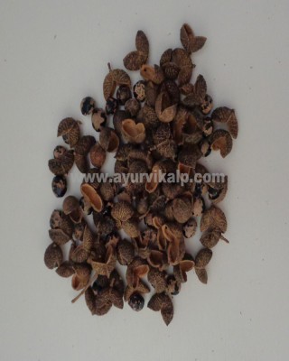 TOMAR SEEDS, Tumru, Zanthoxylum Piperitum Raw Whole Herbs of India