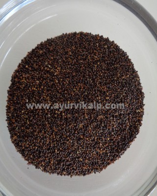 TULSI SEEDS, Holy Basil, Ocimum Sanctum Linn, Raw Whole Herbs of India