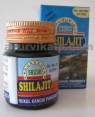 Gurukul SHUDH SHILAJIT, 25gm, for Rhinitis,Coryza, Asthma, Bronchitis